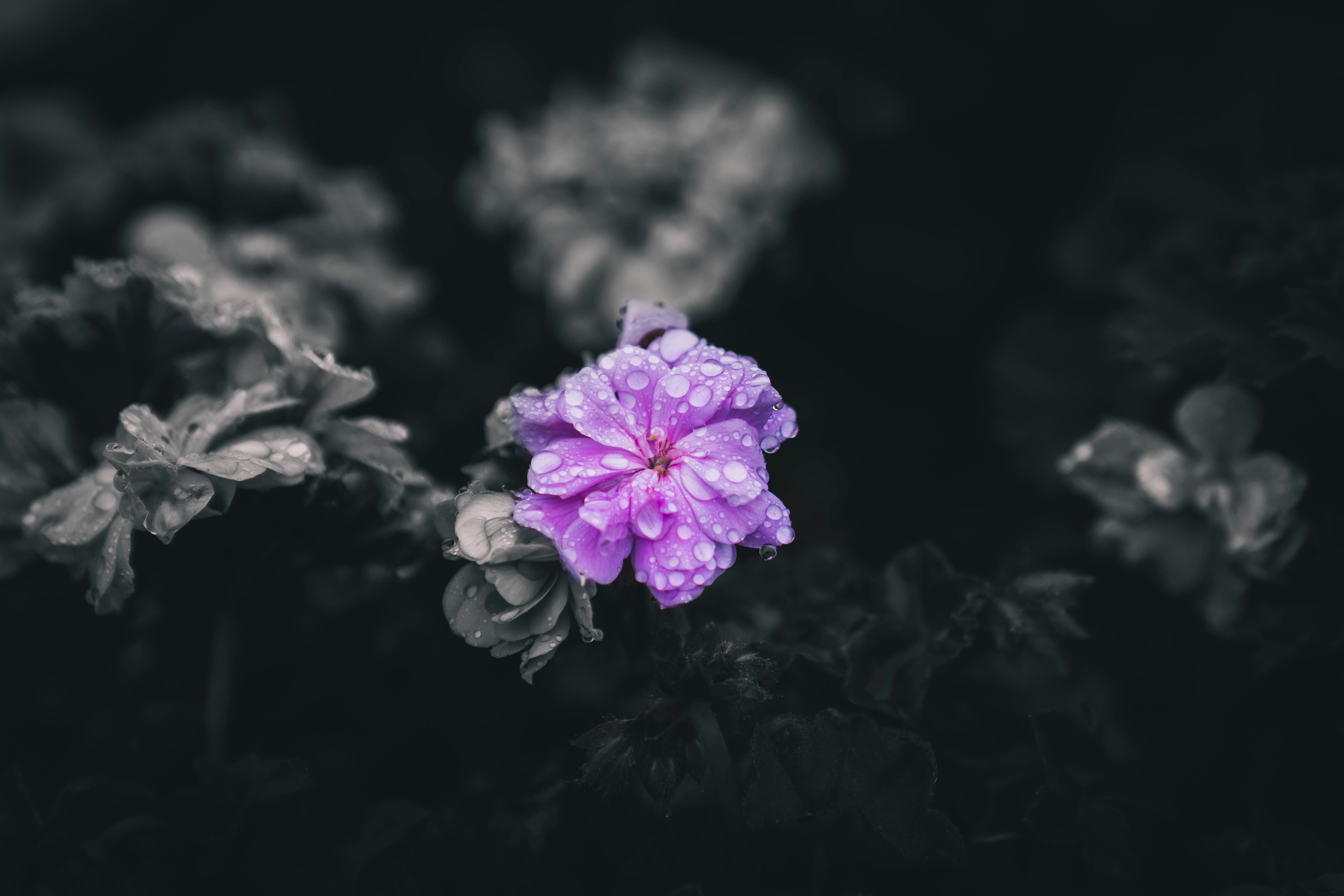 Photo by matthewpablico