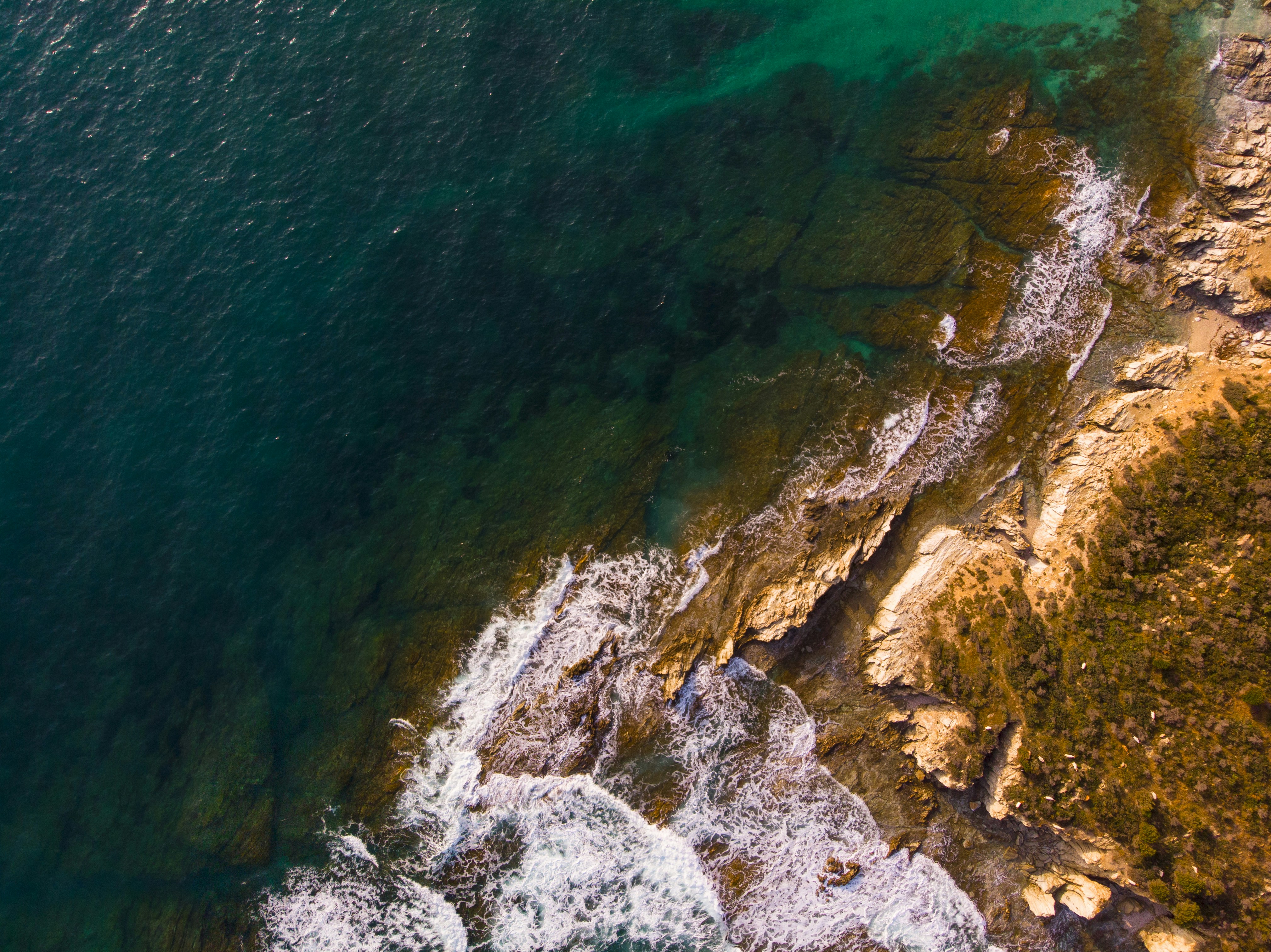 Photo by therealusell