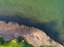 High-resolution sonar mapping display showing detailed 3D bathymetric and vegetation heatmaps of a lake.