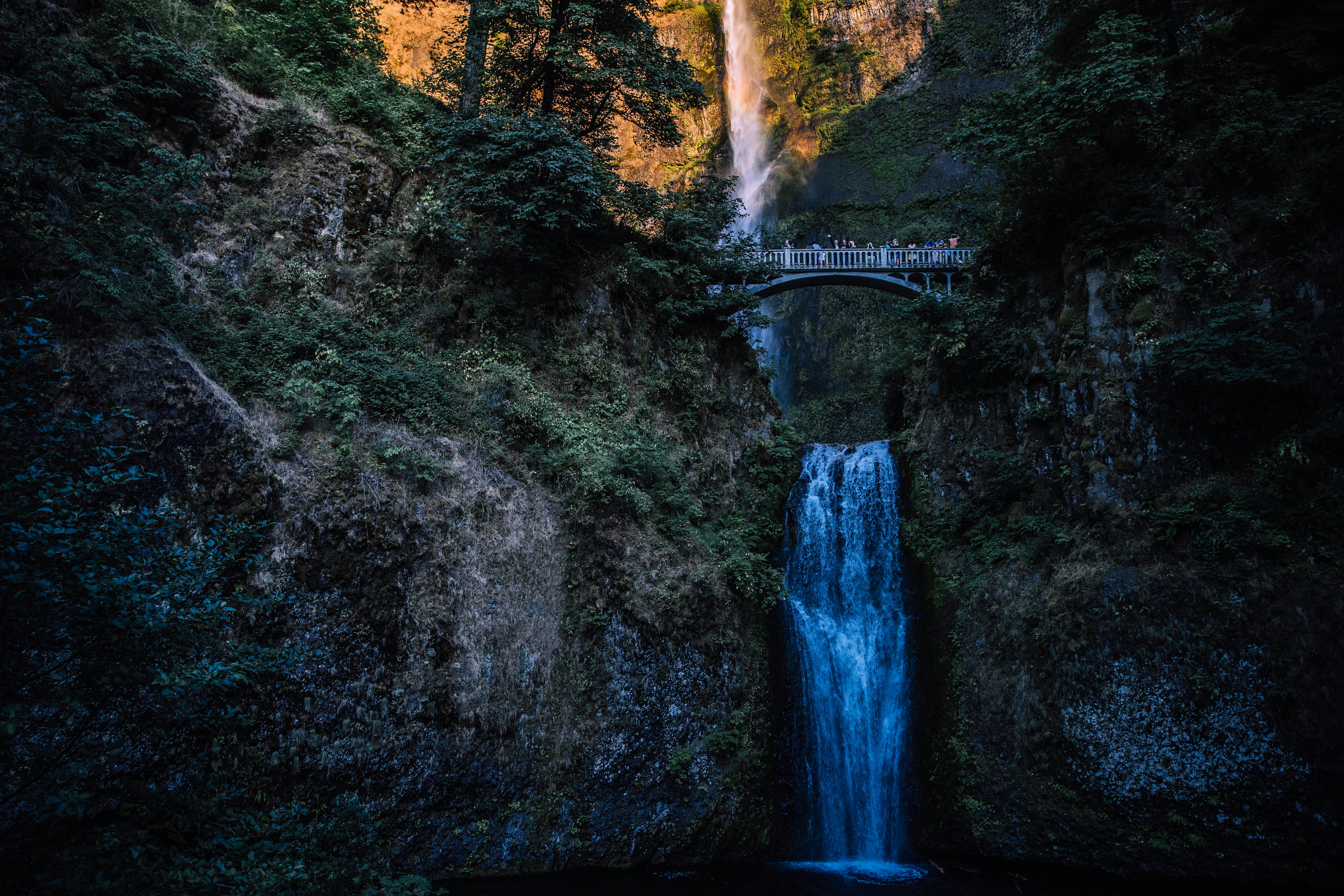 Photo by matthewpablico