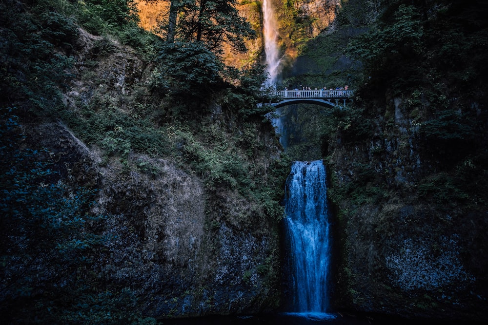 green grass and waterfall