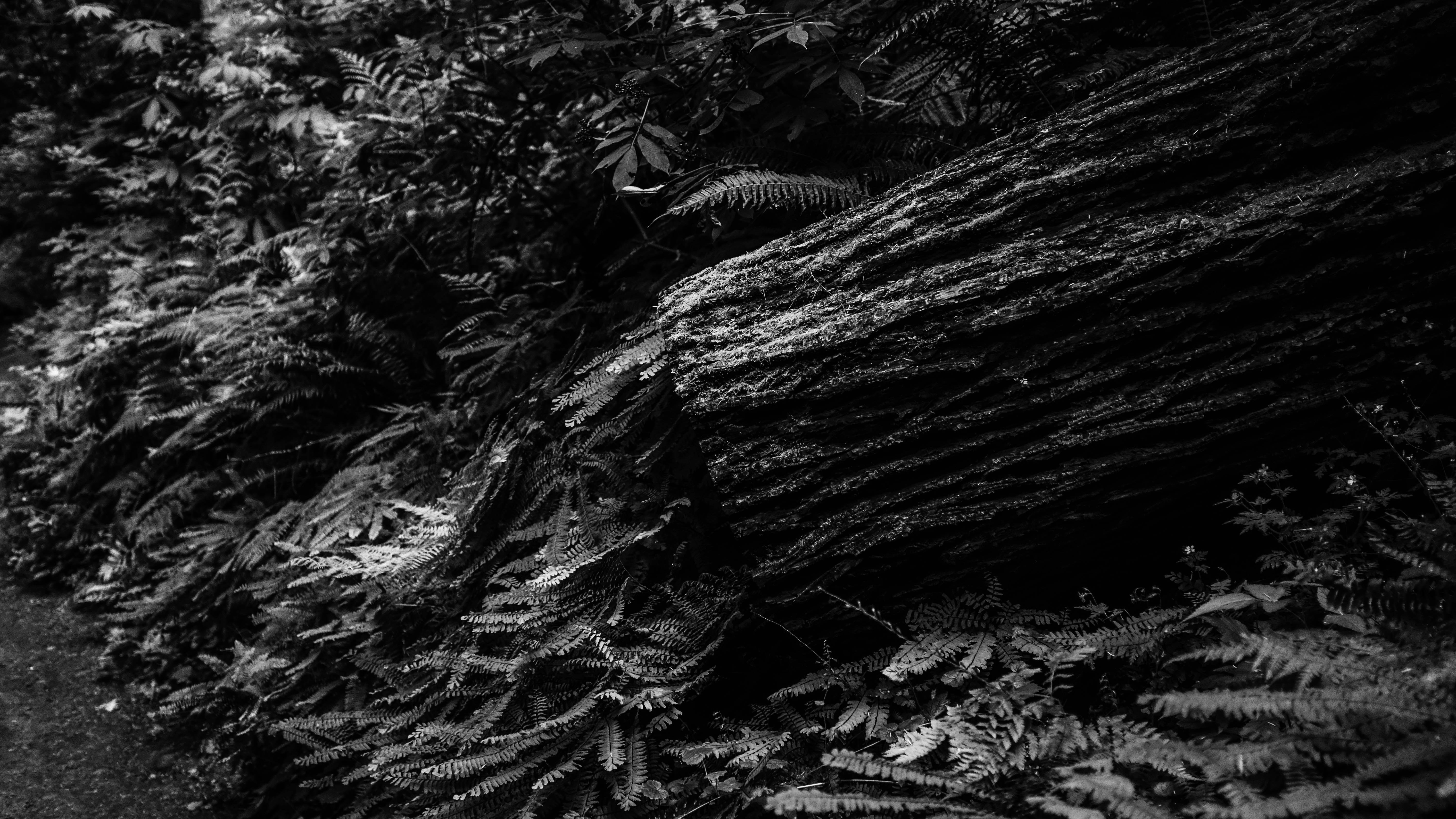 Photo by matthewpablico