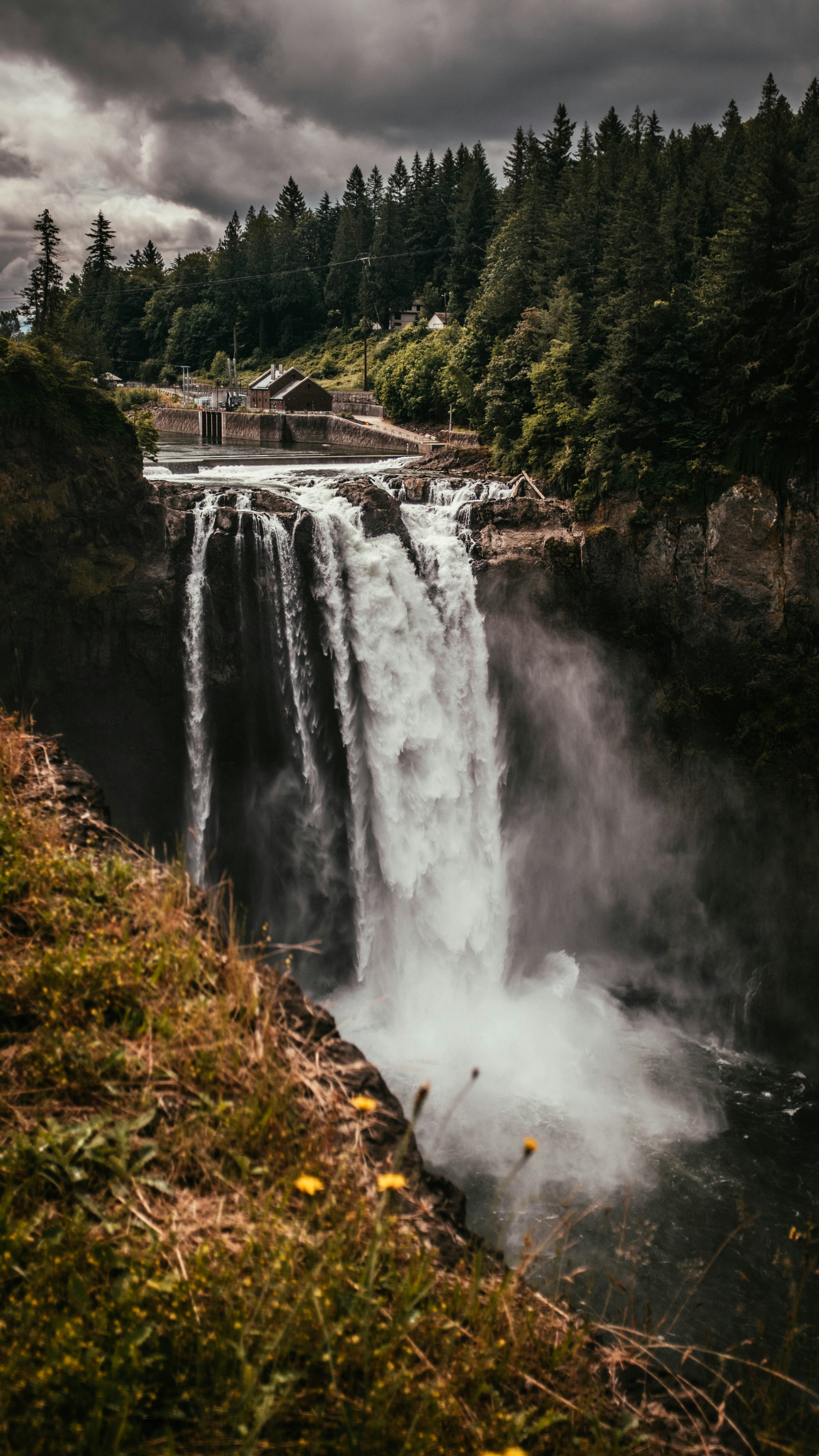 Photo by matthewpablico