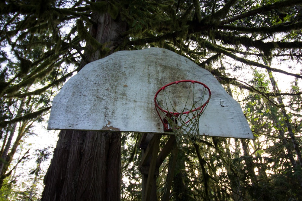 white and red basketball hoop near tree