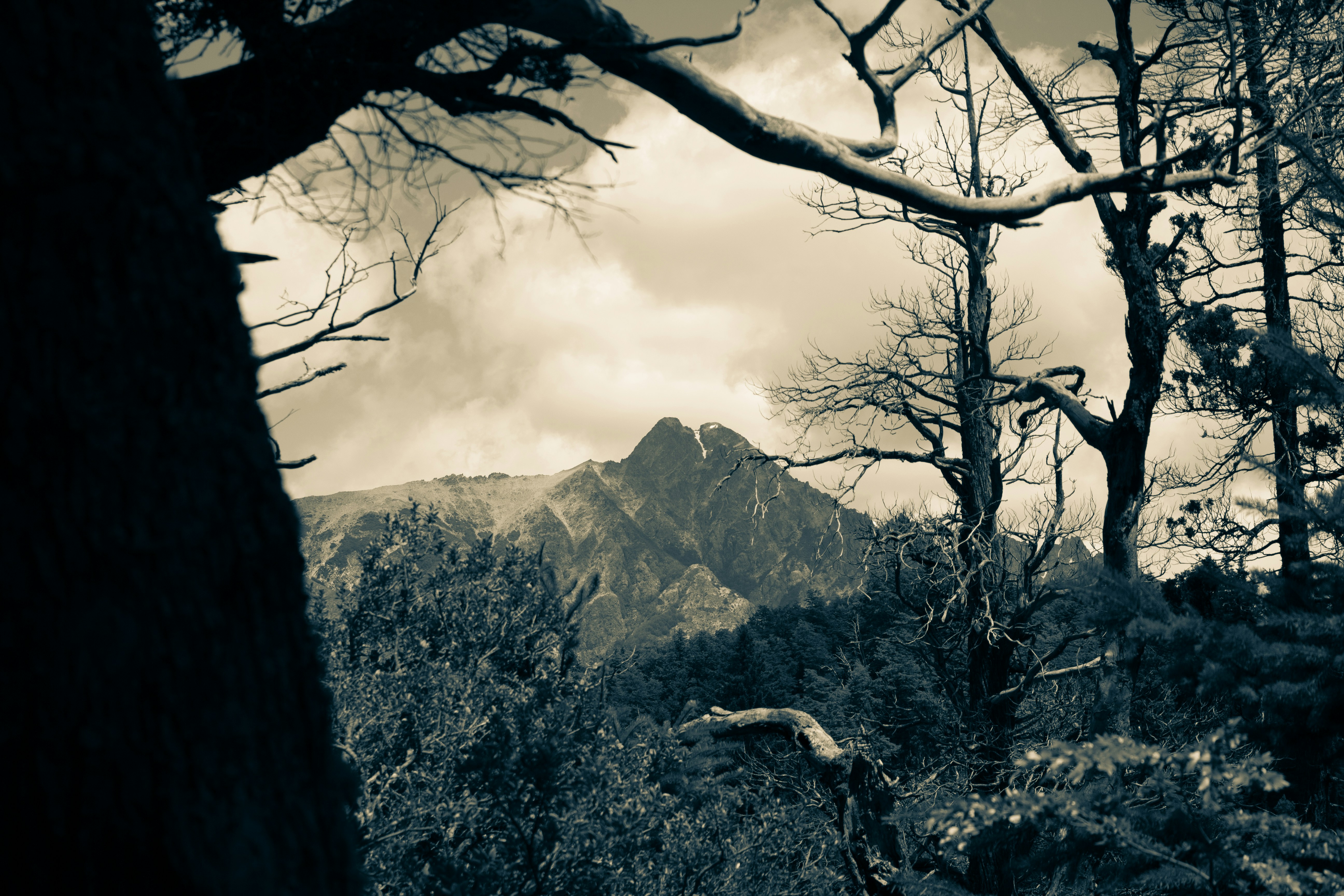 rocky mountain photography