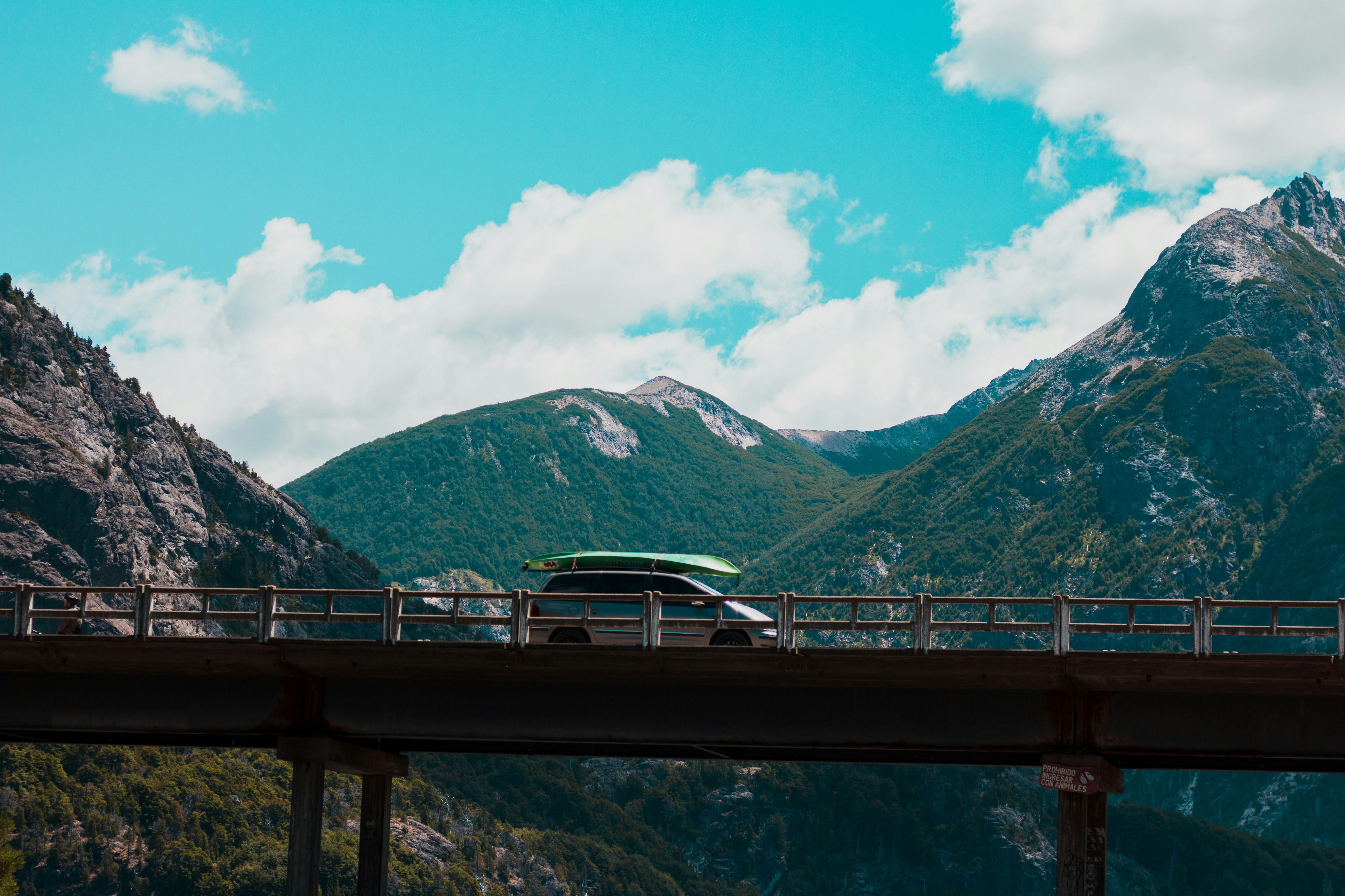 silver van on gray bridge