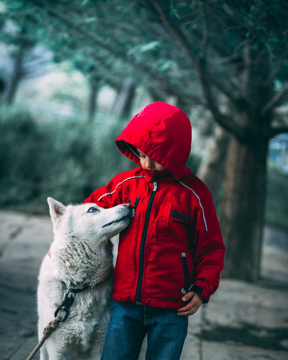 Niño de pie junto al perro husky