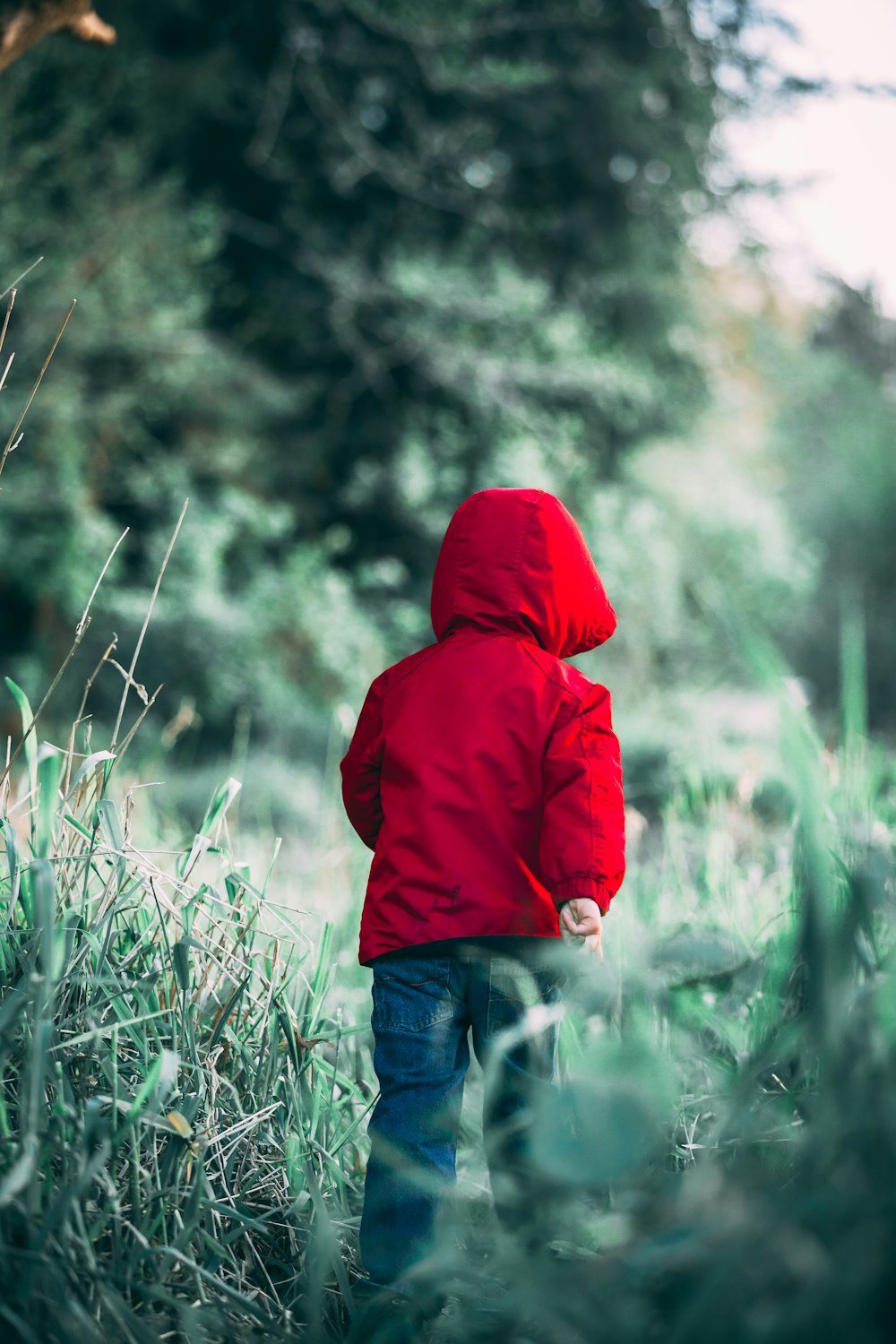 toddler walking on grass field during daytime