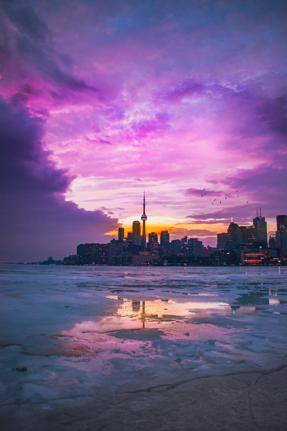 silhouette photography of city buildings