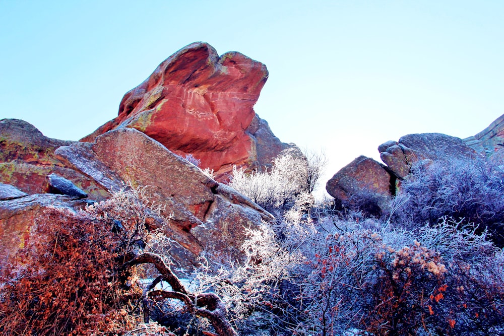 Flachfokusfotografie von roten und braunen Felsformationen