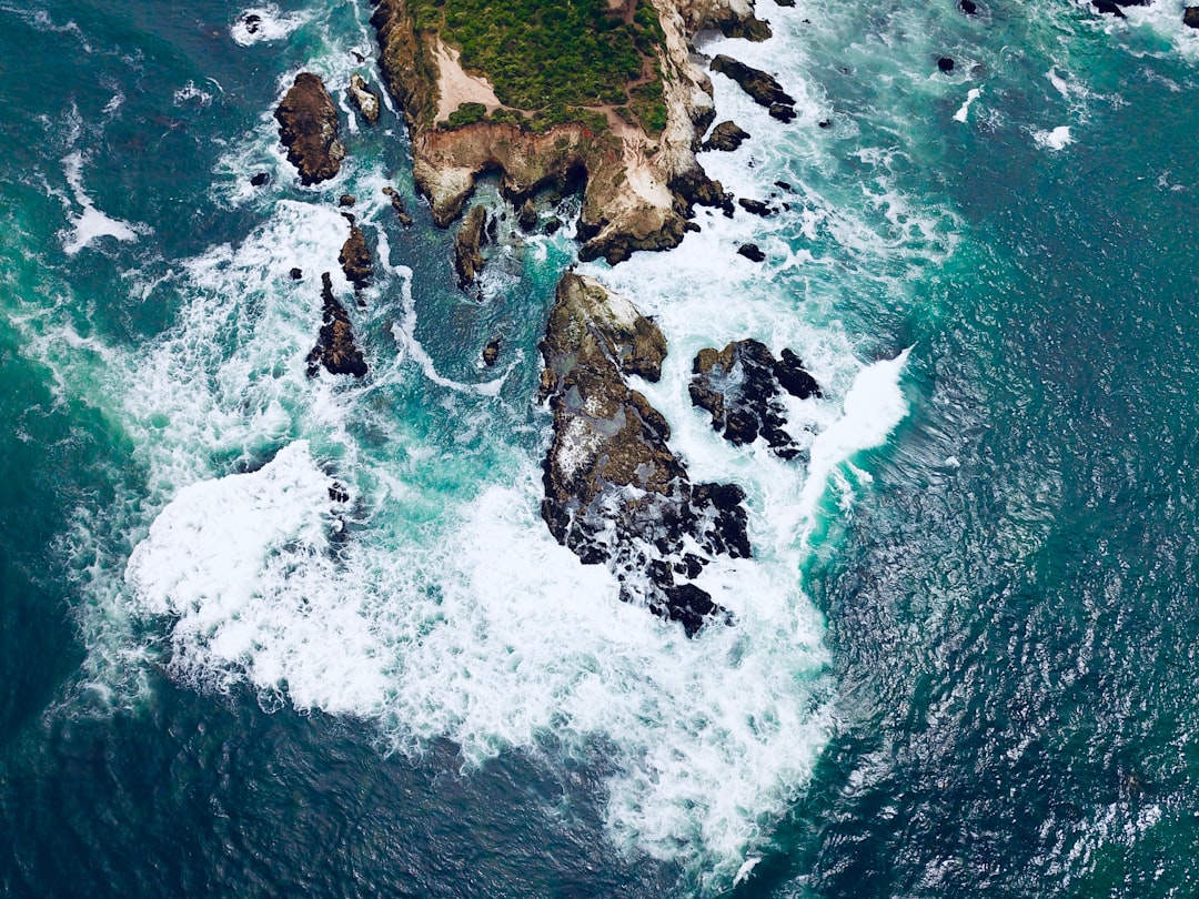 Ocean photo spot Tomales Point Trail Golden Gate National Recreation Area