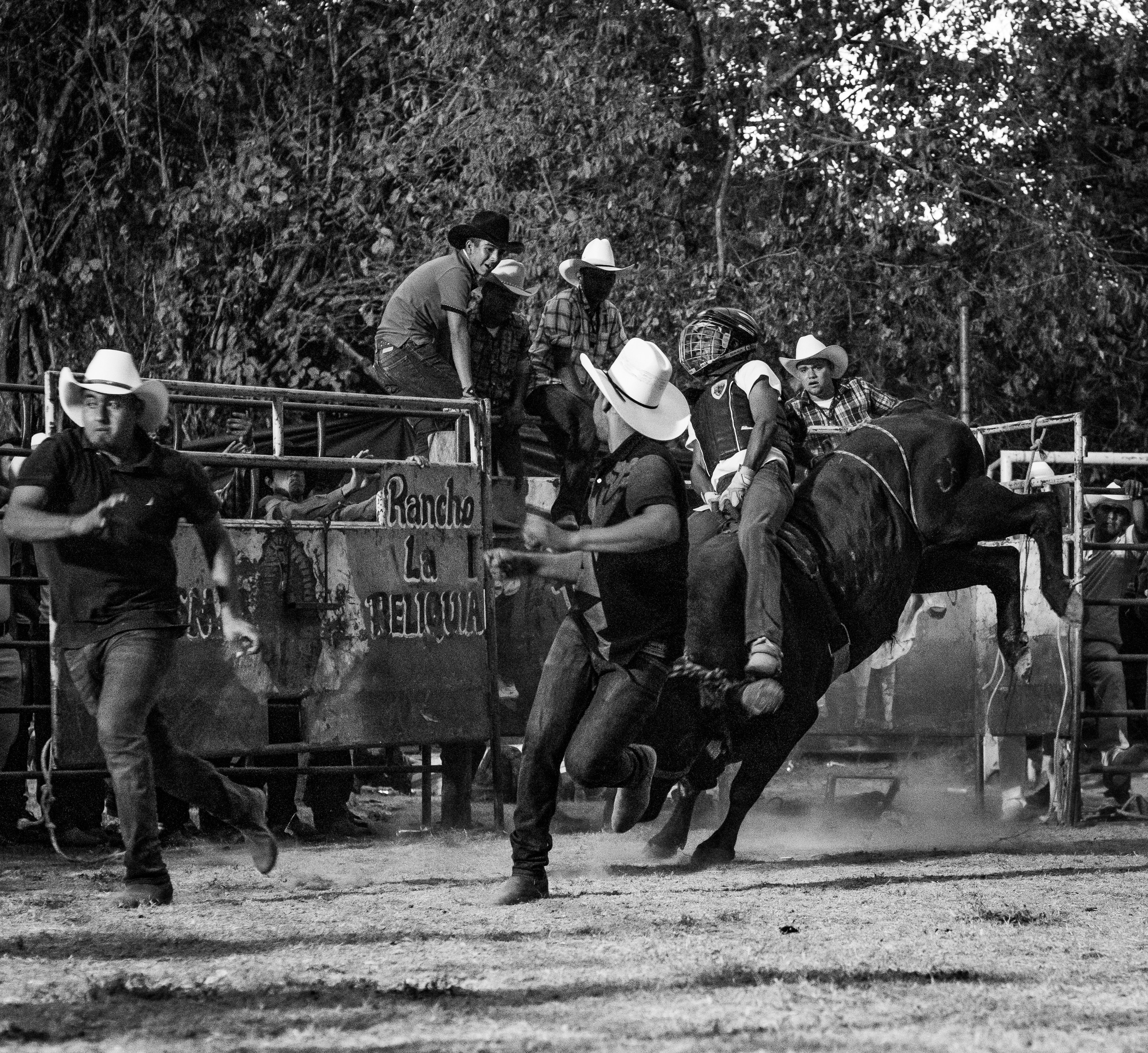 Rodeo Ride
