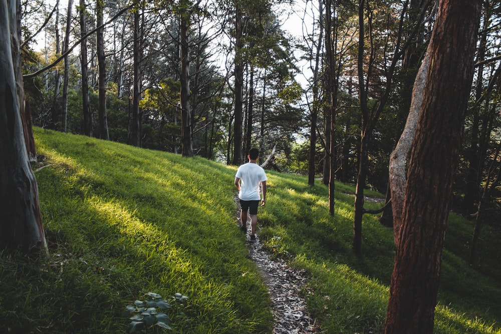 man wearing white shirt hiking near grass and trees