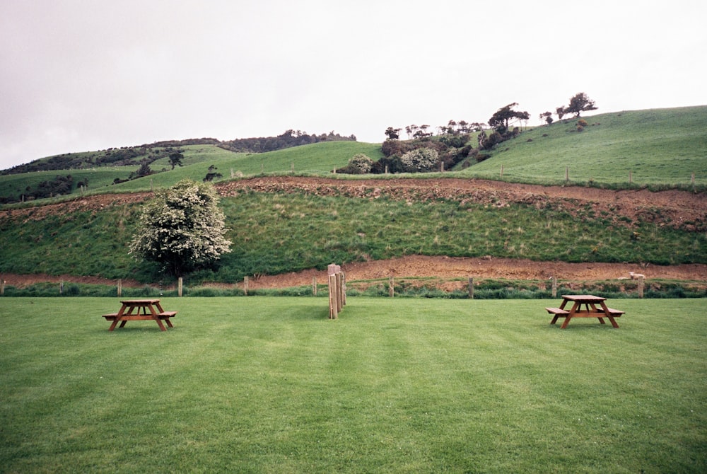 green grass field and brown wooden garden tables