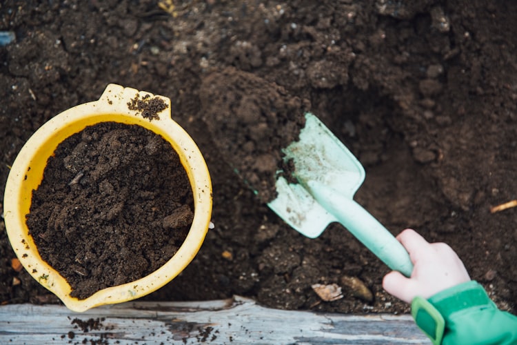 Recycle your food scraps and help save the planet