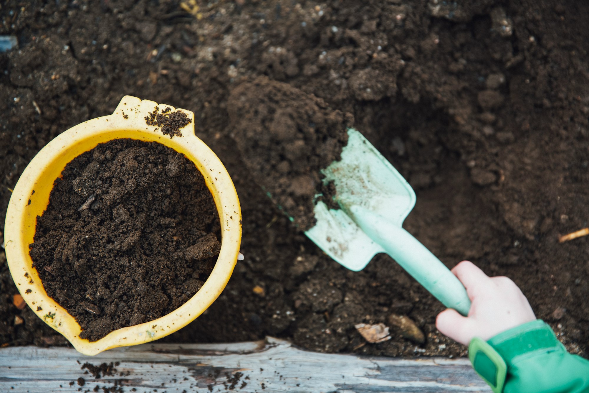 Global Soil Week: grond doet leven