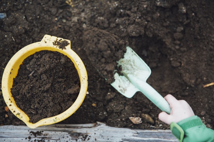 What Composting Taught Me