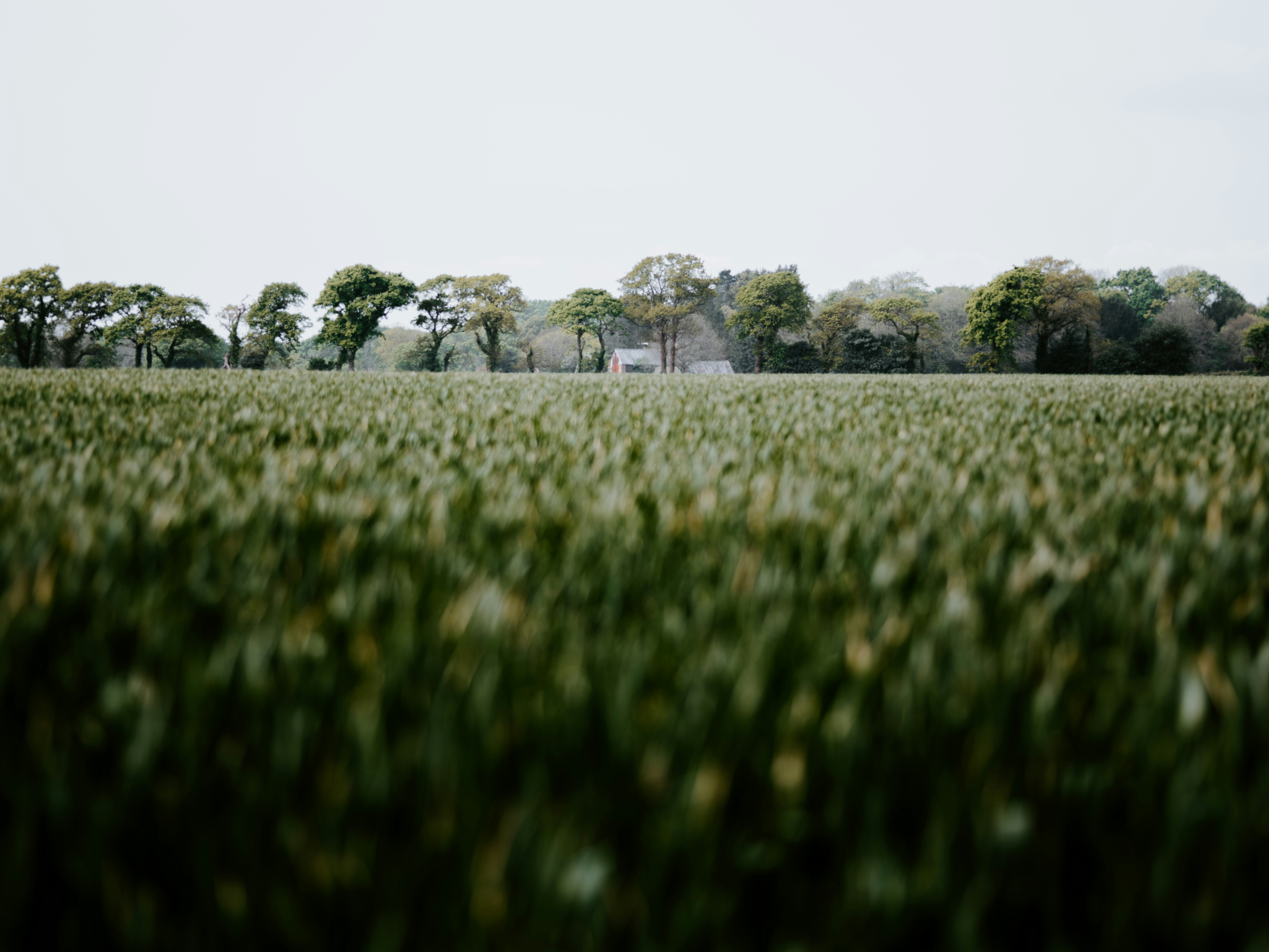 Photo by anniespratt