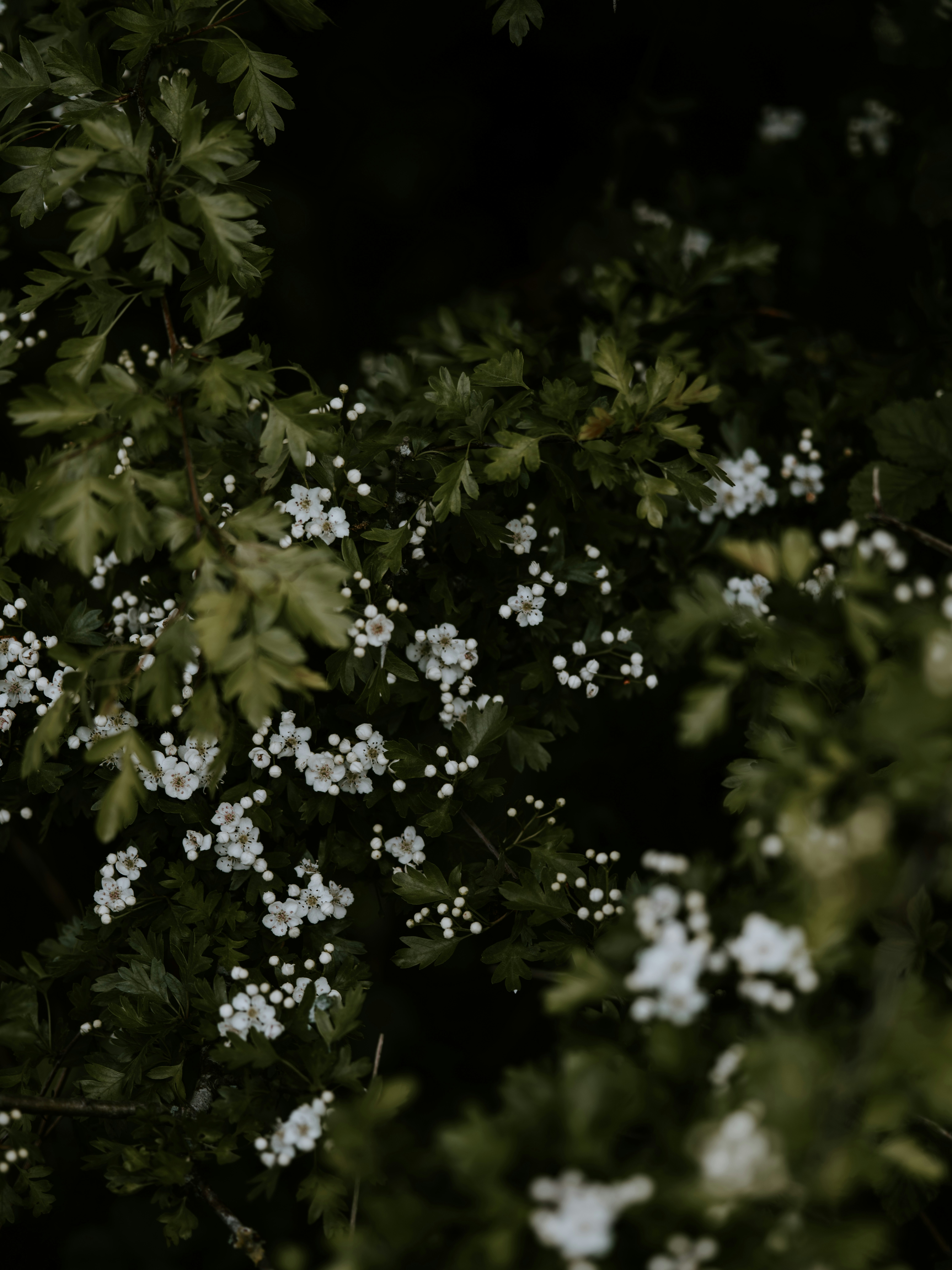 Photo by anniespratt