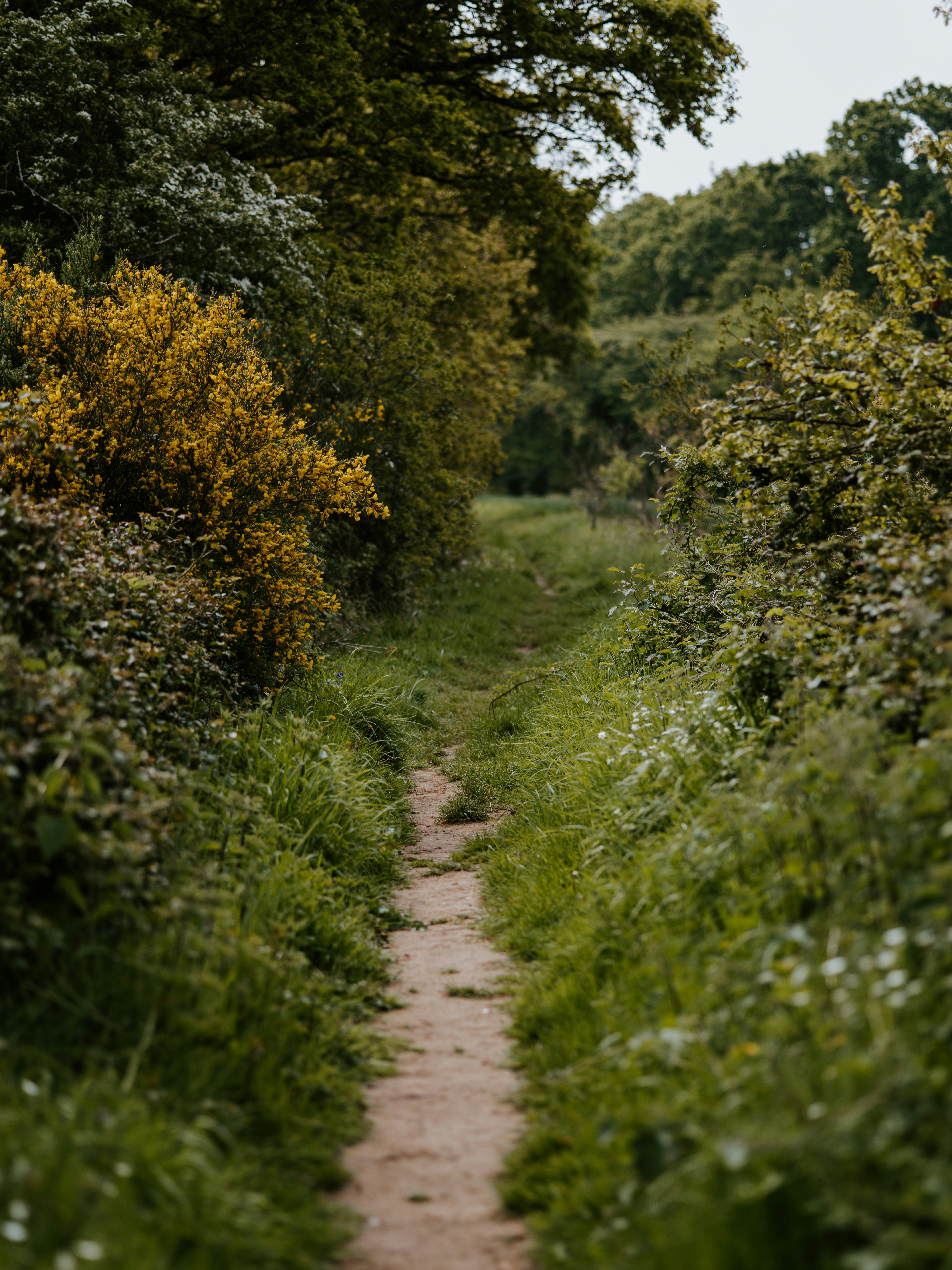 Photo by anniespratt