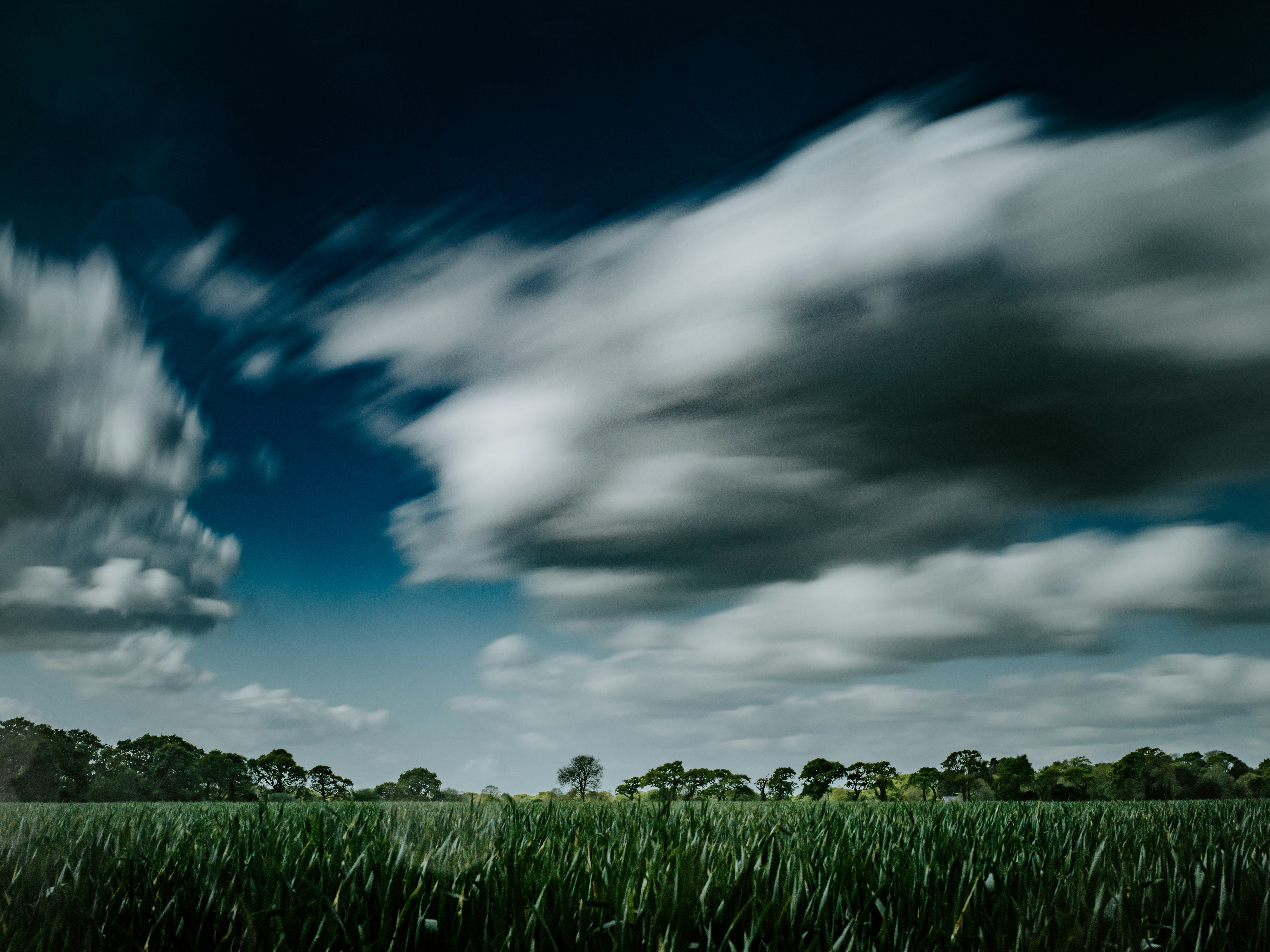 Photo by anniespratt