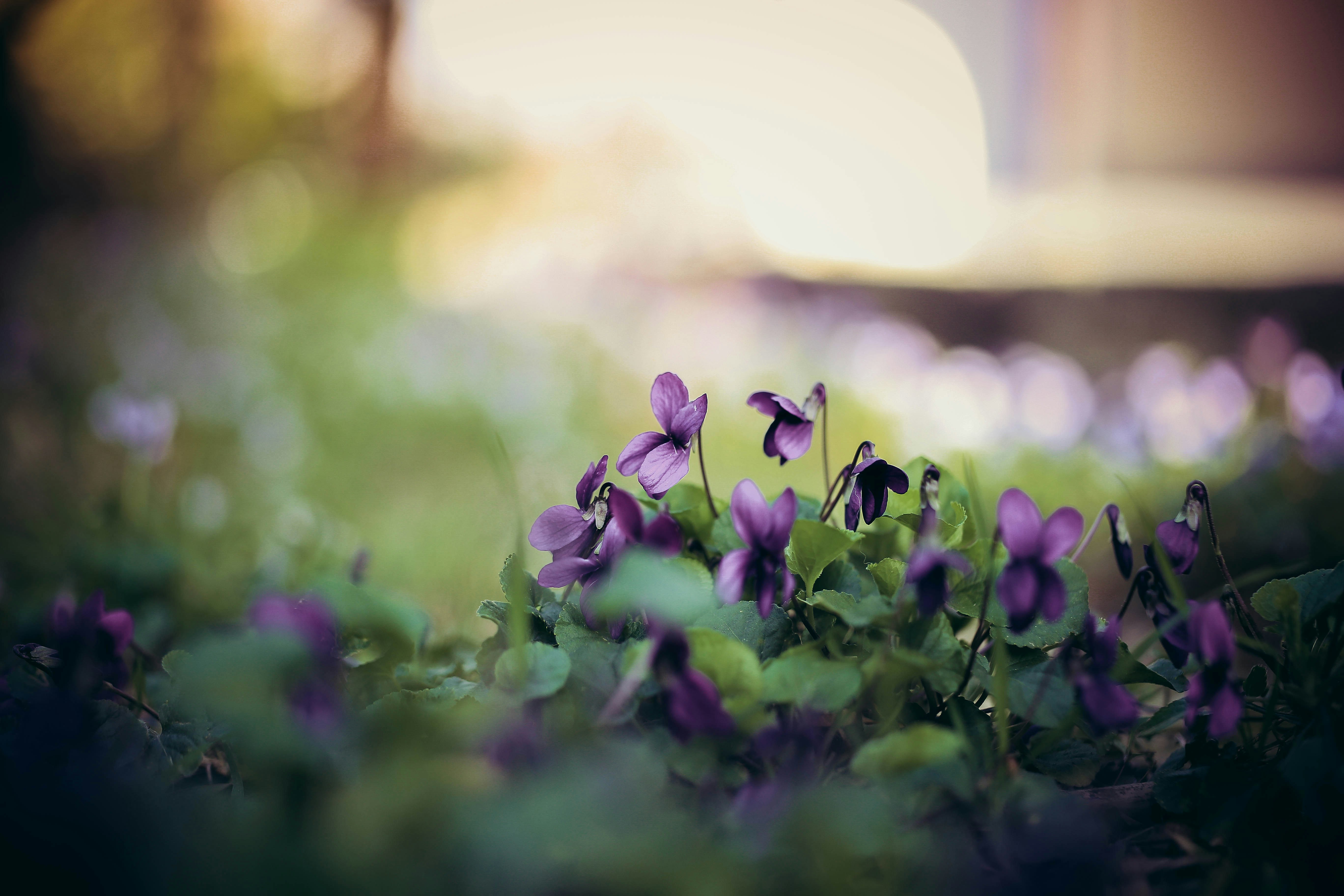 Photo by sindystrife