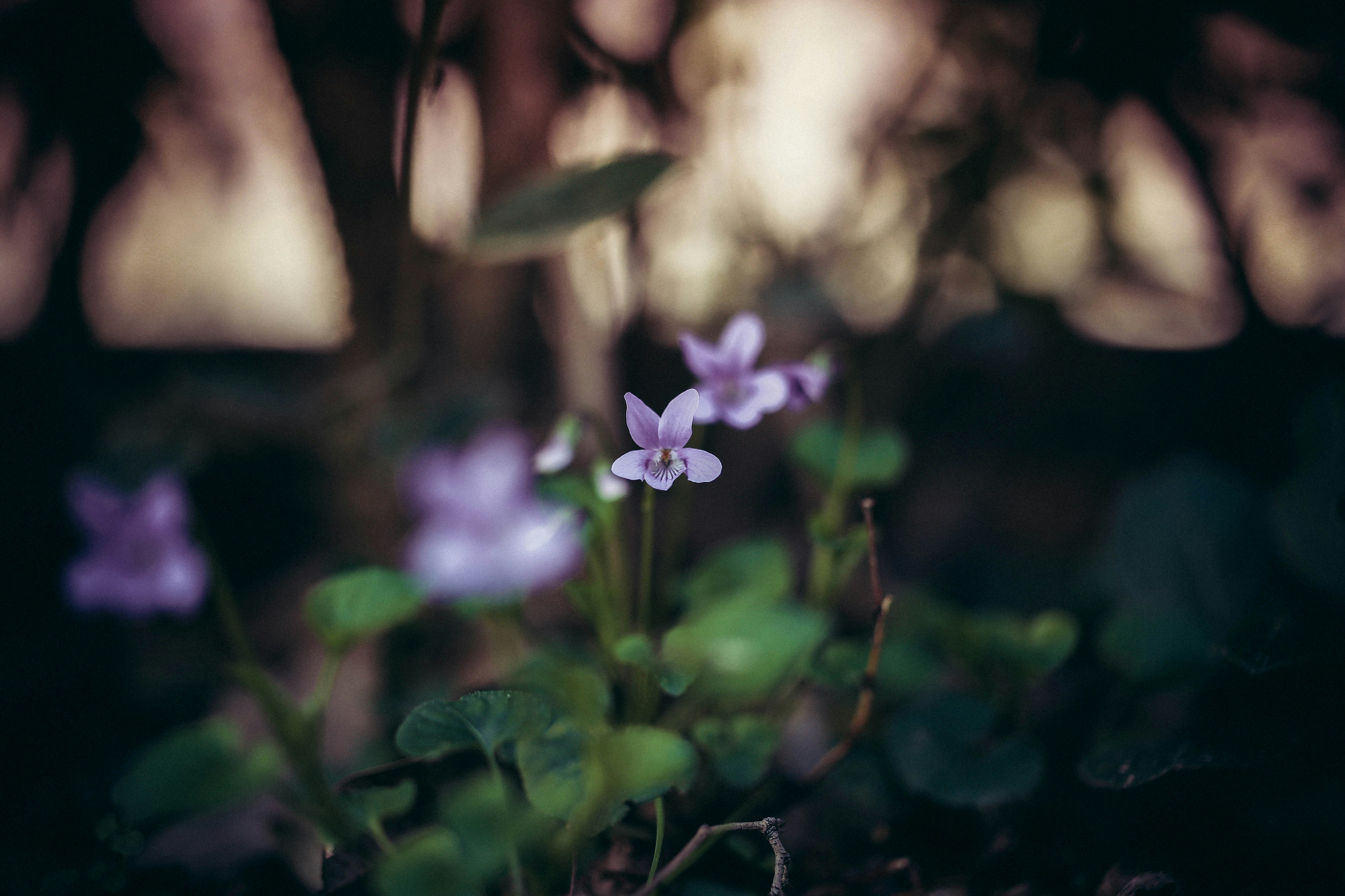 Photo by sindystrife