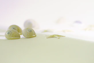 Handmade resin keychains shaped like seashells and starfish, sparkling under soft coastal sunlight.