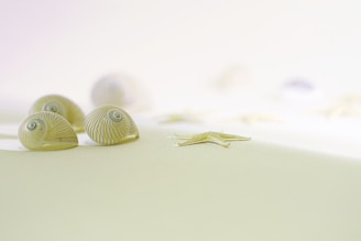 A spiral seashell nestled on a piece of coarse linen fabric, sunlight casting warm highlights.