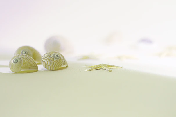 Handmade resin keychains shaped like seashells and starfish, sparkling under soft coastal sunlight.