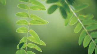 A delicate watercolor illustration of green leaves gently swaying in a soft breeze.