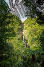 landscape photo of waterfalls