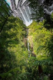 landscape photo of waterfalls