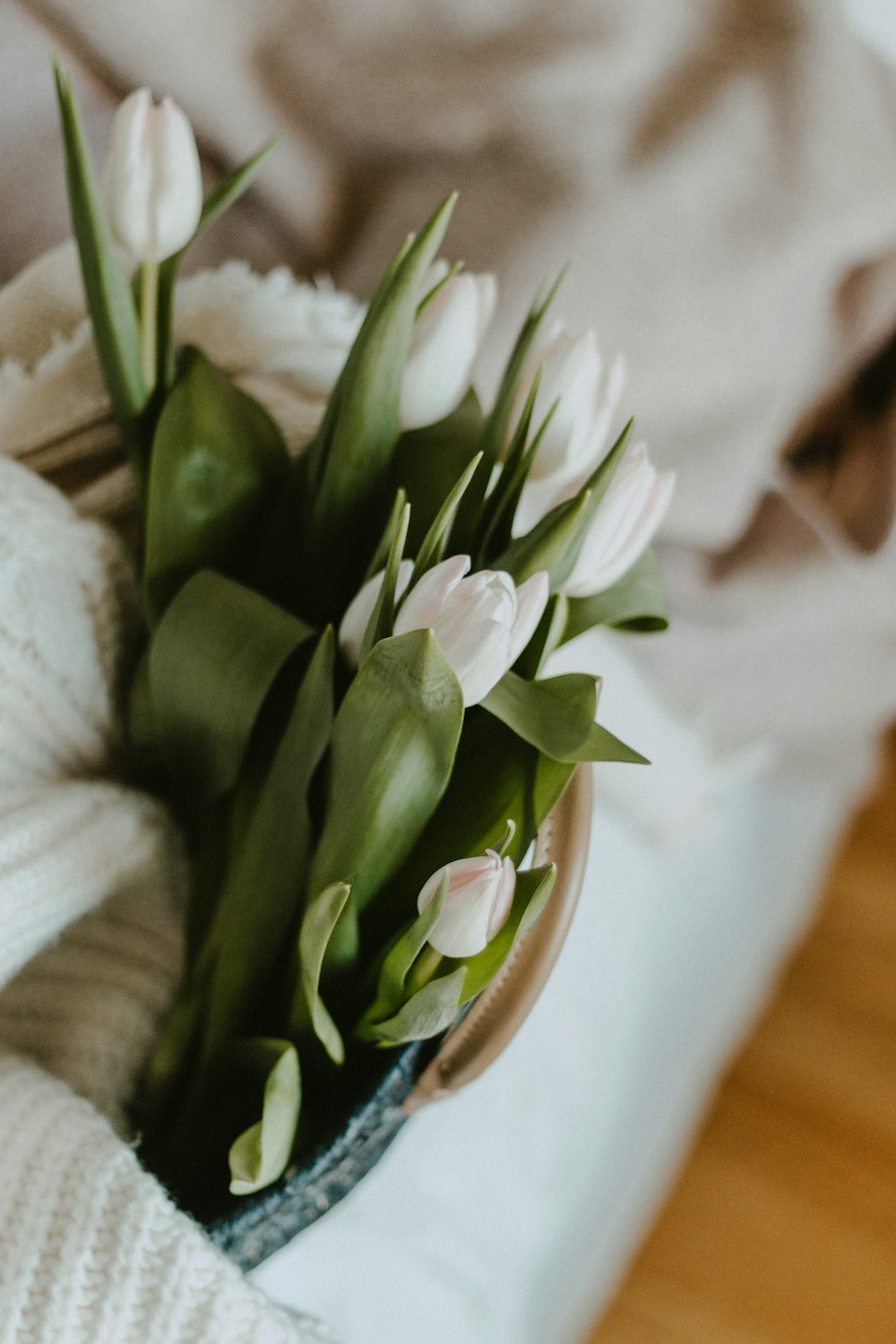 white petaled flower