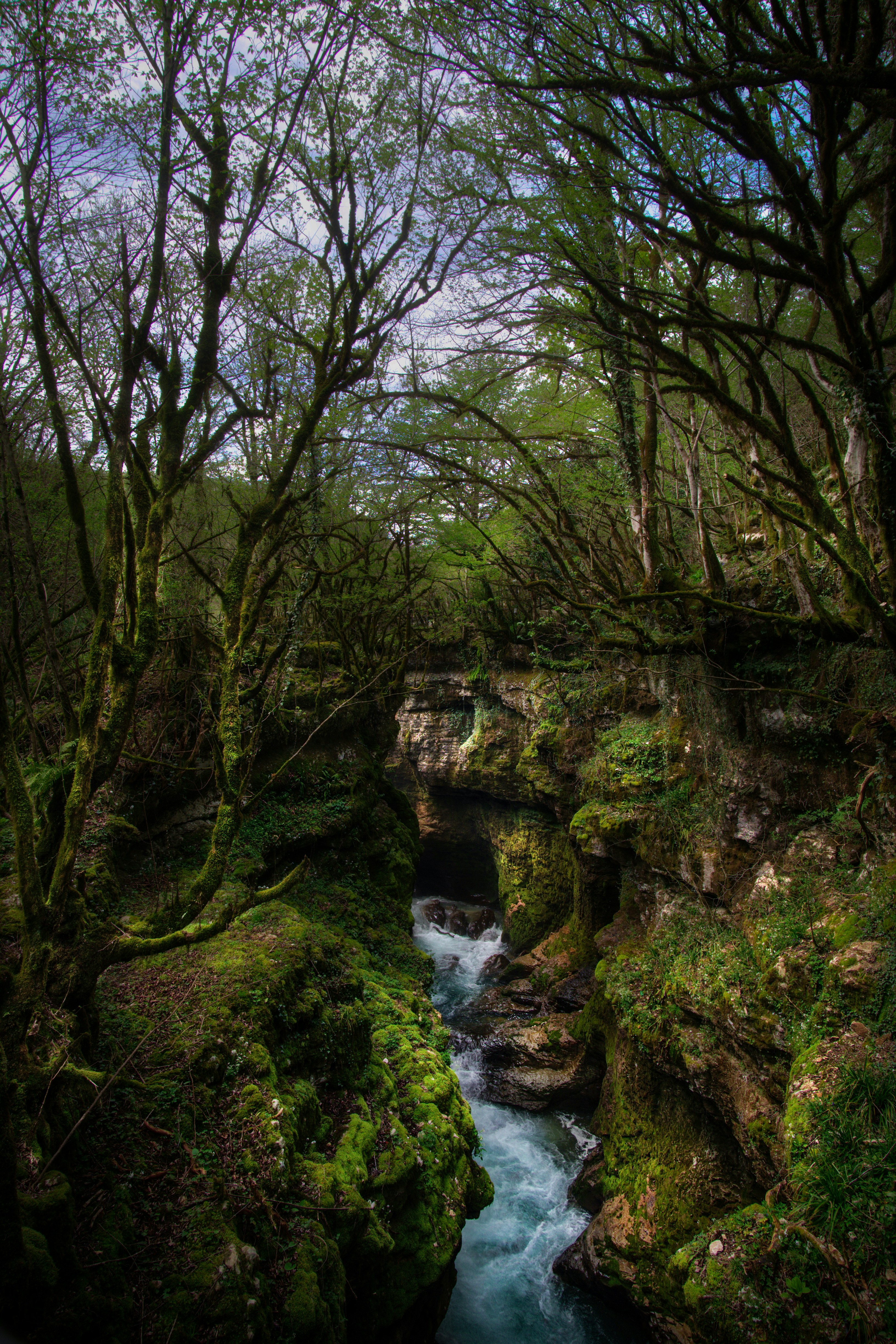 Photo by zoltantasi