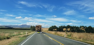 A straight rural road stretches into the distance, bordered by grassy fields and trees. A truck loaded with logs travels along the road. The sky is bright blue with scattered white clouds, and a mountain range can be seen in the background.
