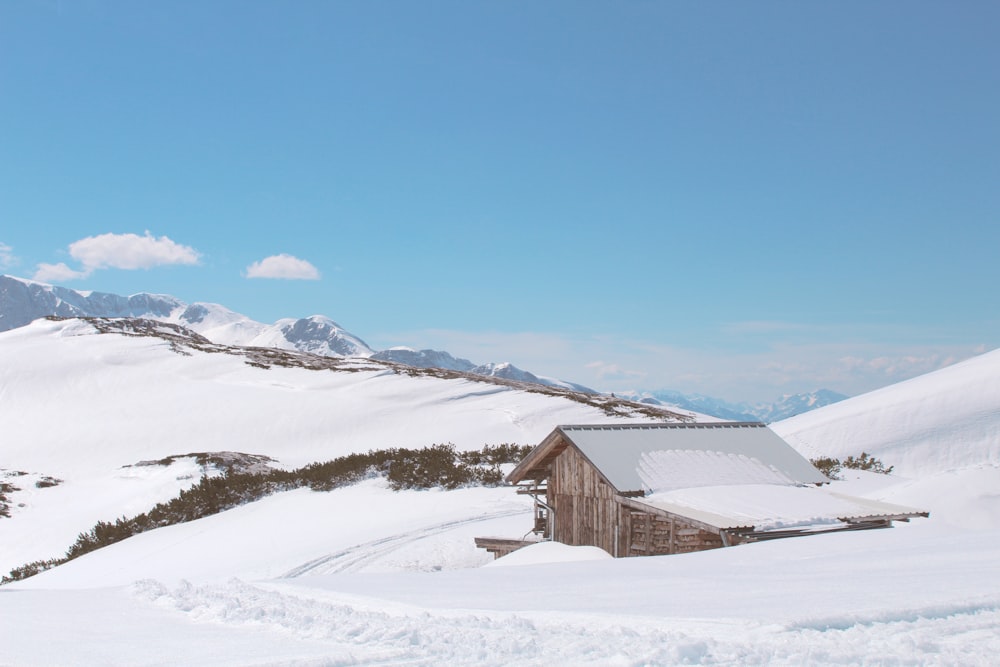 house surrounded by snow