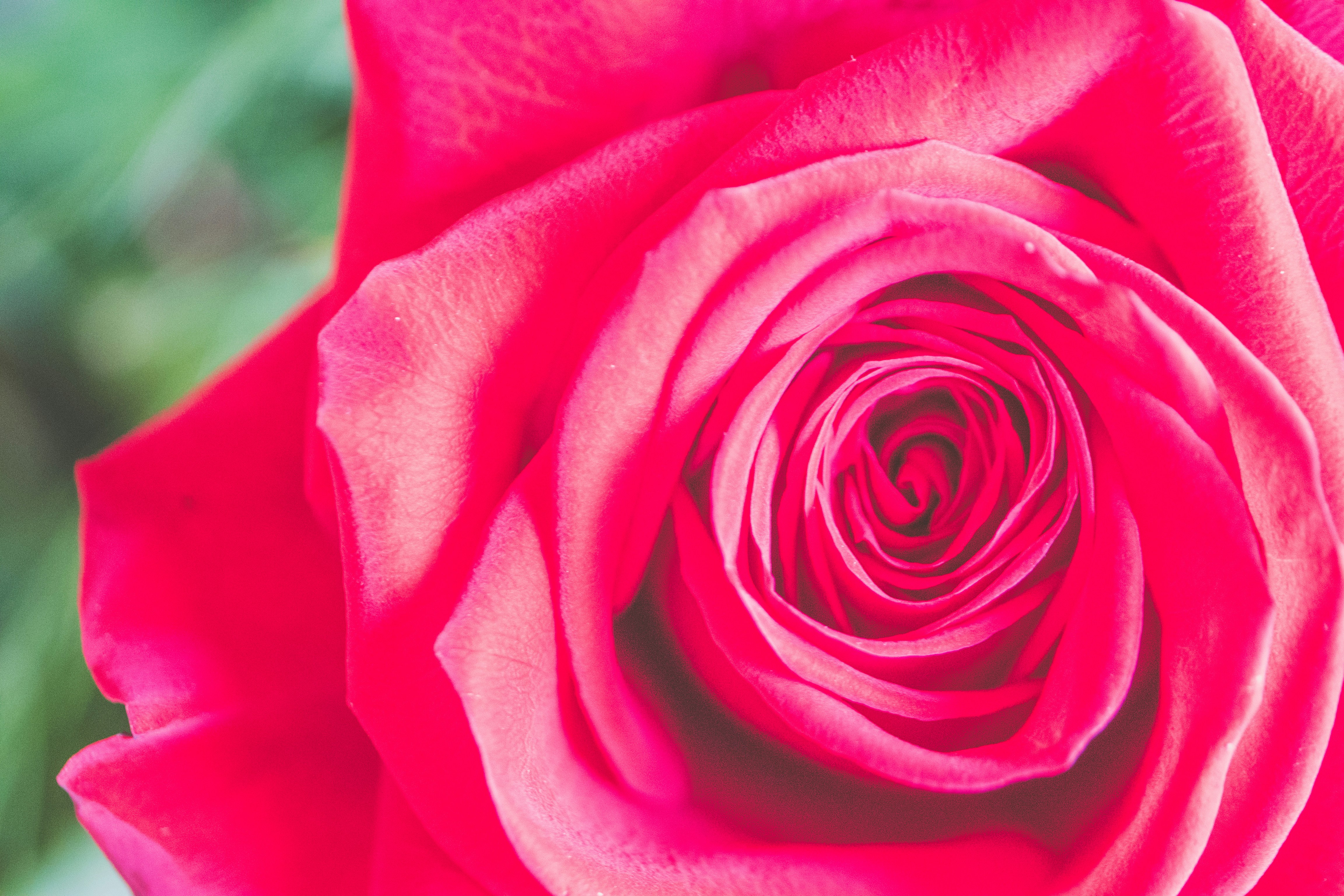 Photo by thepaintedsquarejessica