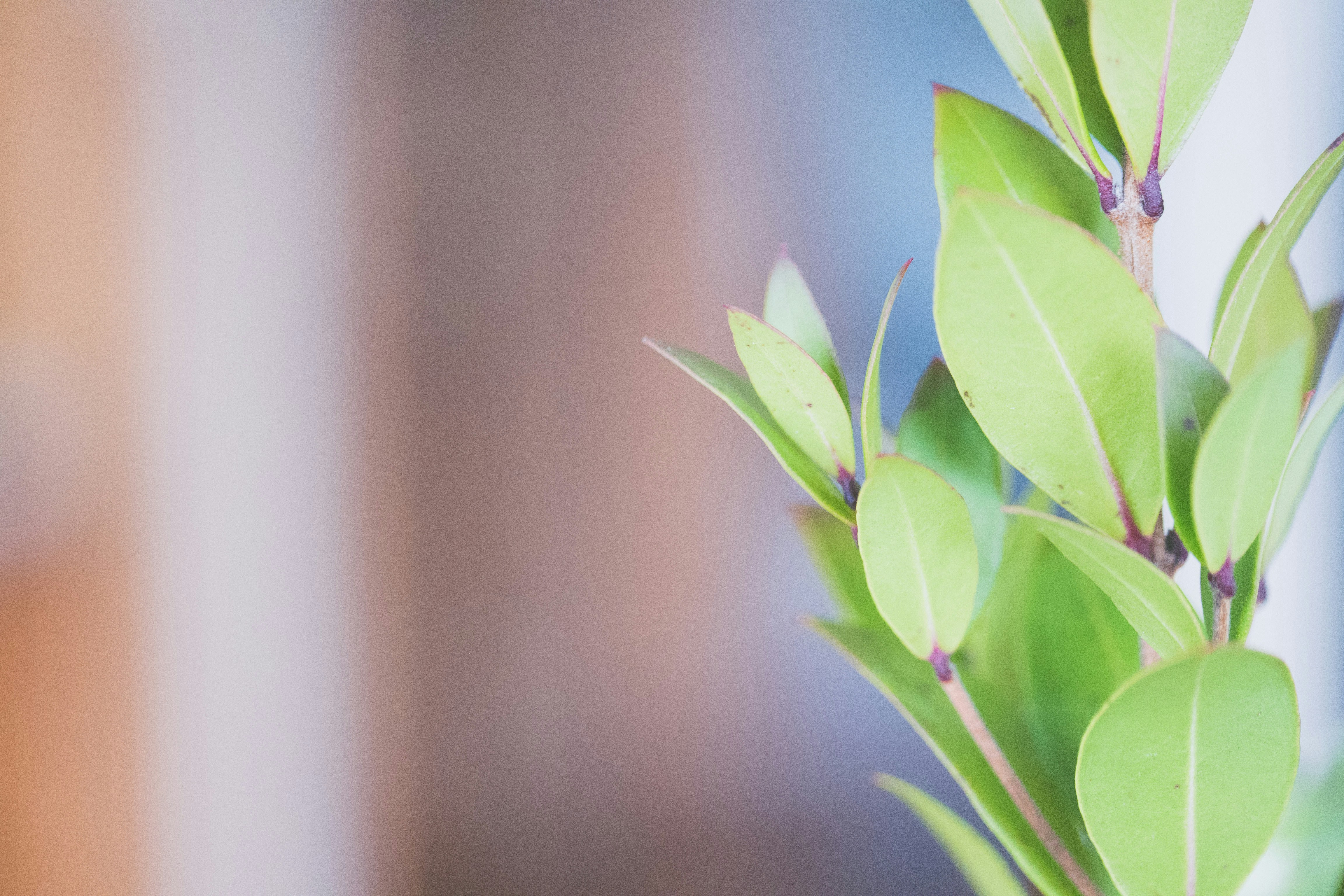 Photo by thepaintedsquarejessica