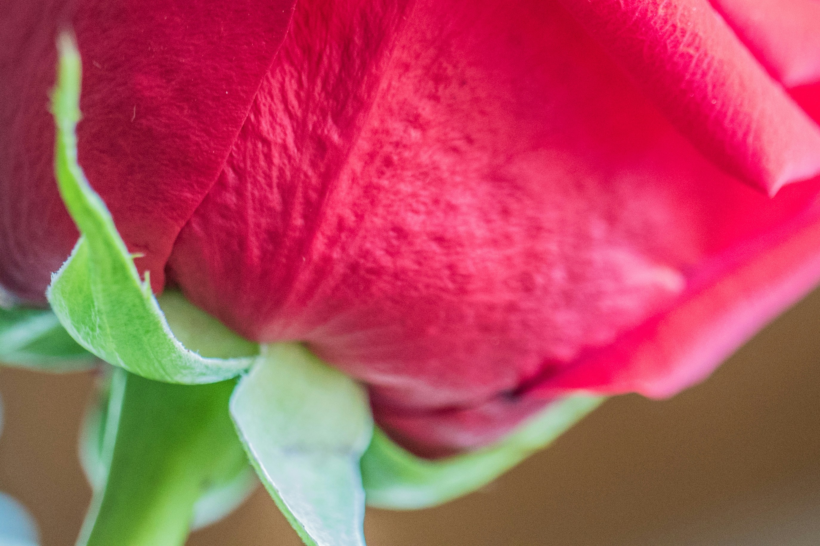 Photo by thepaintedsquarejessica