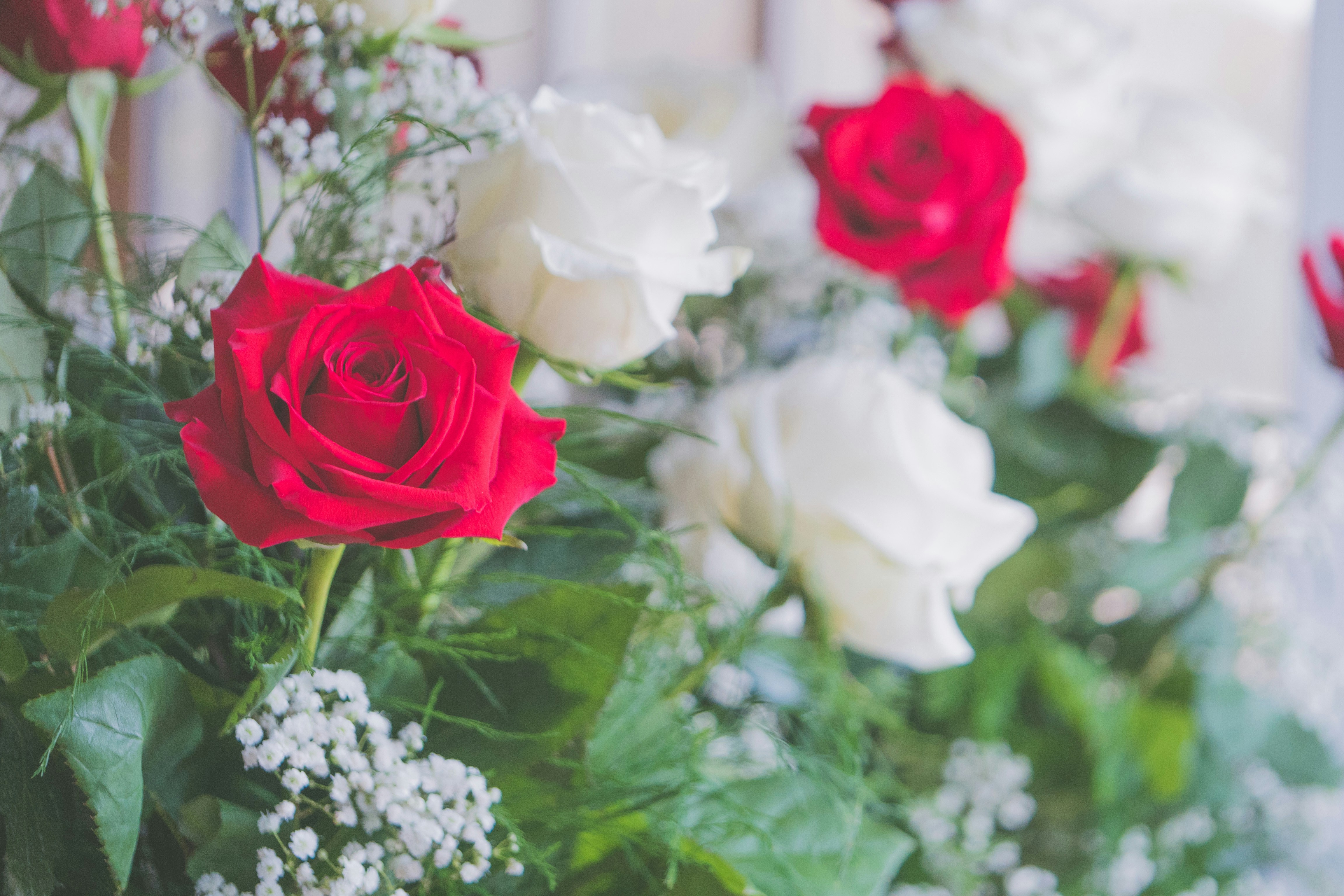 Photo by thepaintedsquarejessica