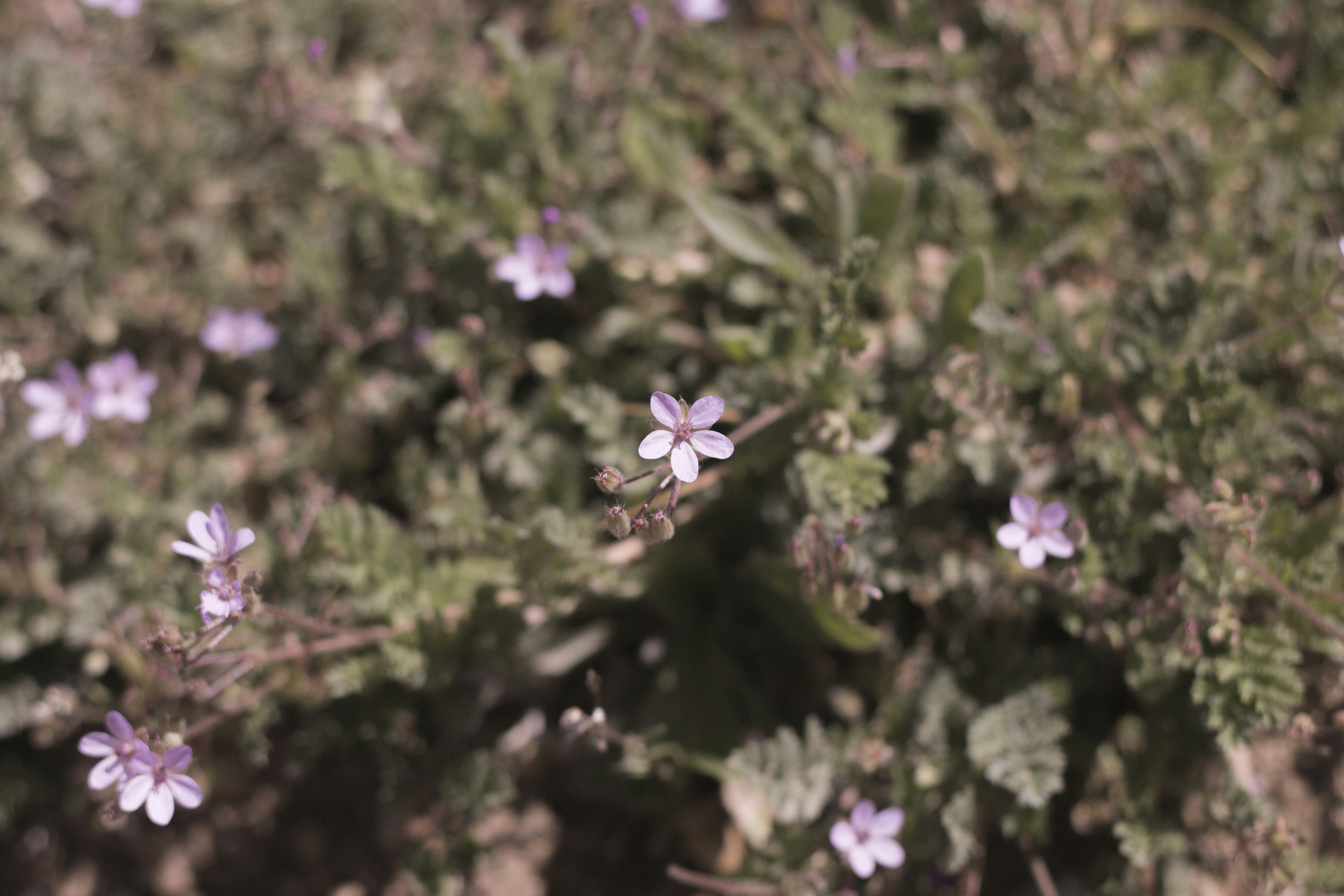 Photo by mamaeslateacher