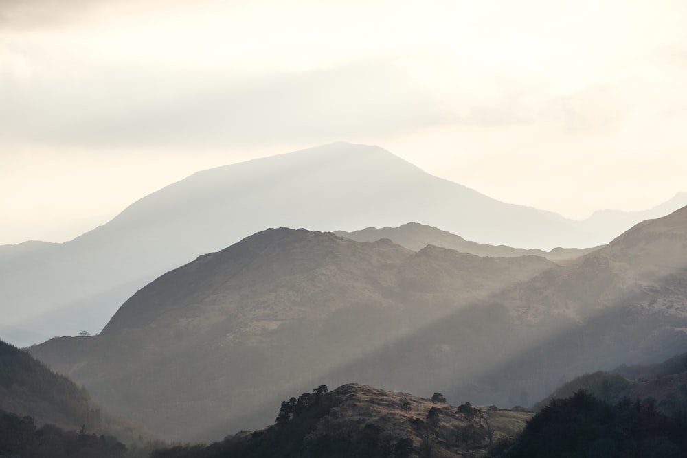 hills in forest