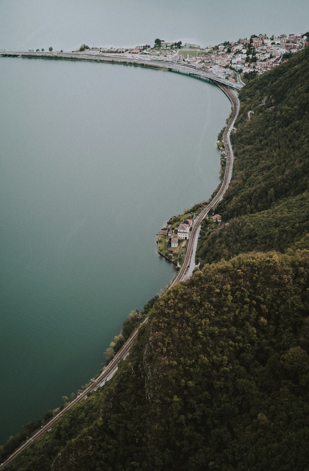 trees on cliff during daytime