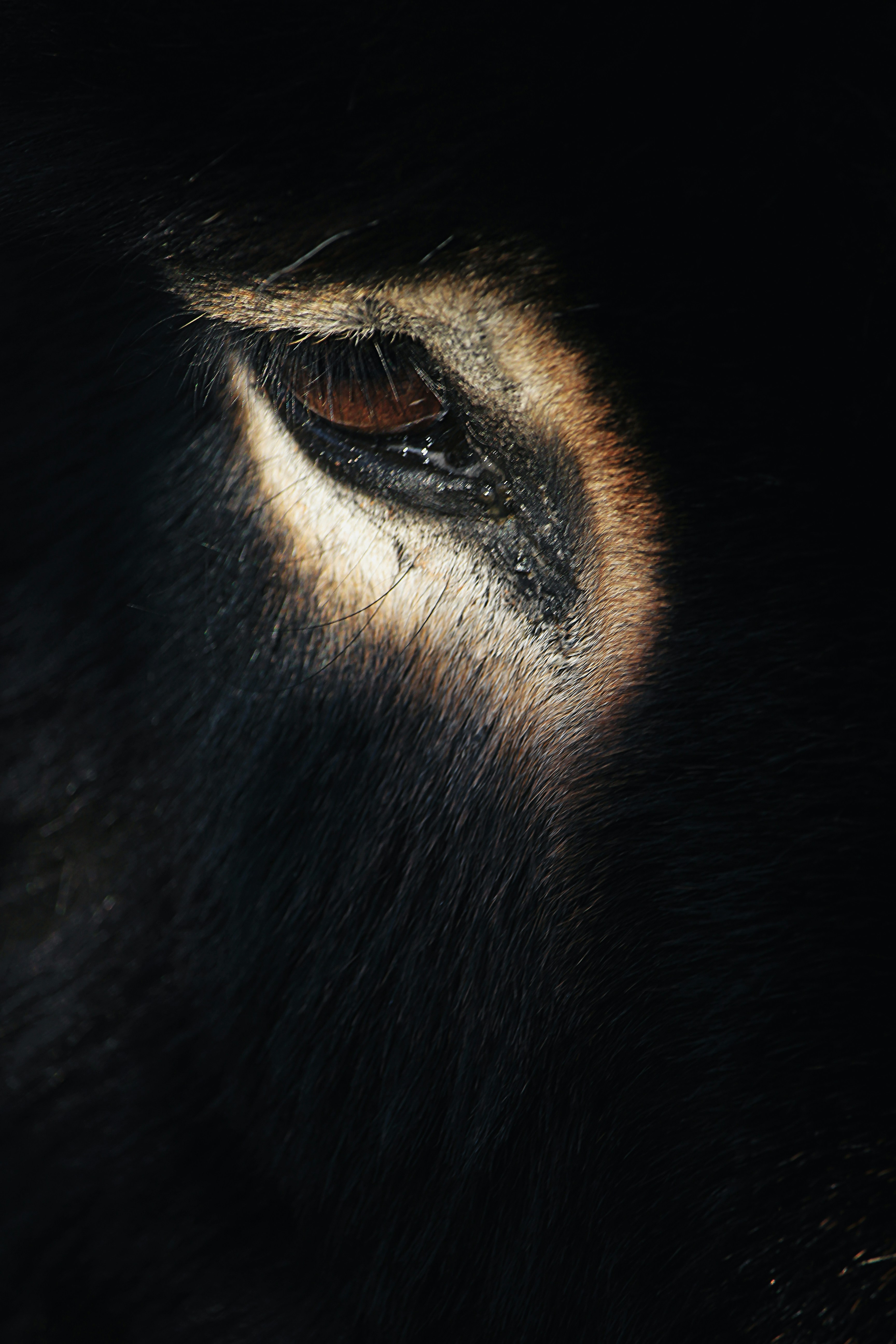 Photo by damiendufourphotographie