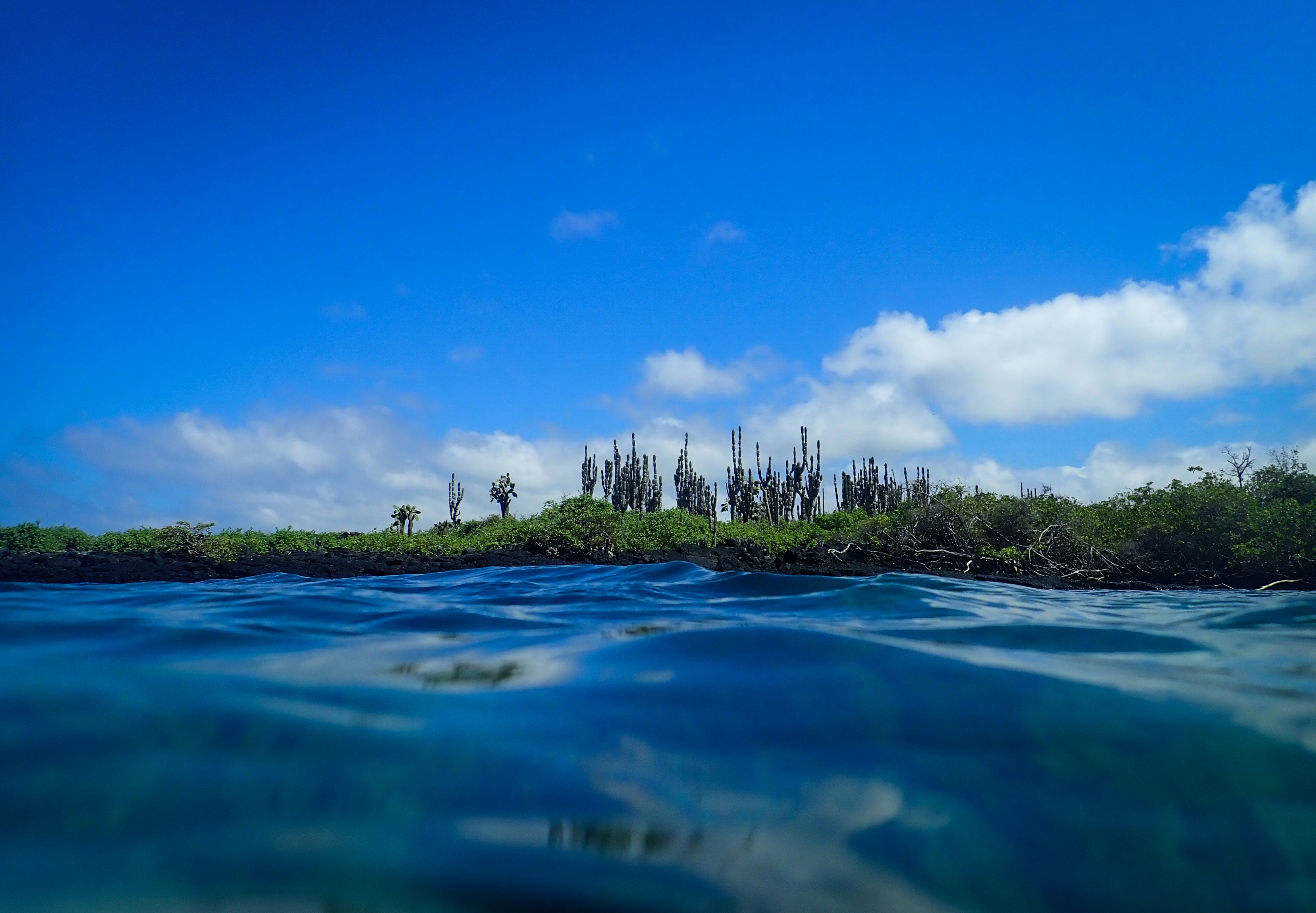 Photo by francesco_ungaro