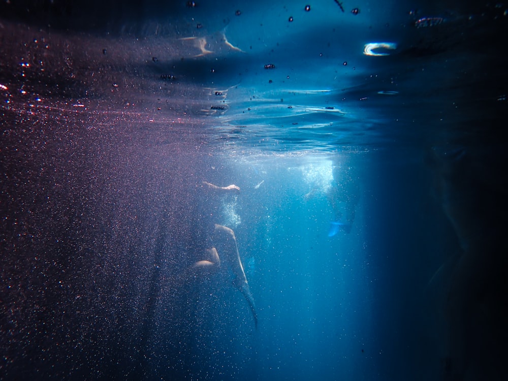 Menschen, die auf dem Gewässer schwimmen