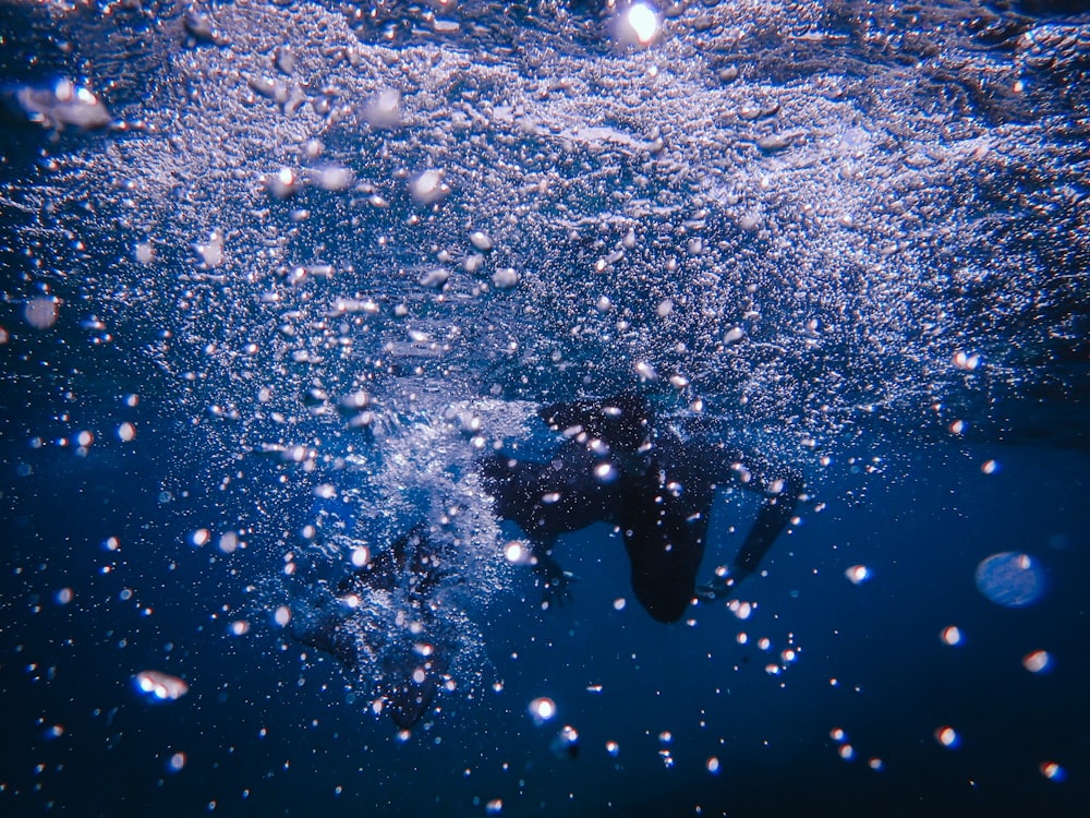 person swimming during daytme