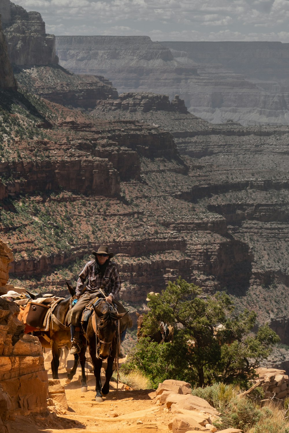 man riding horse