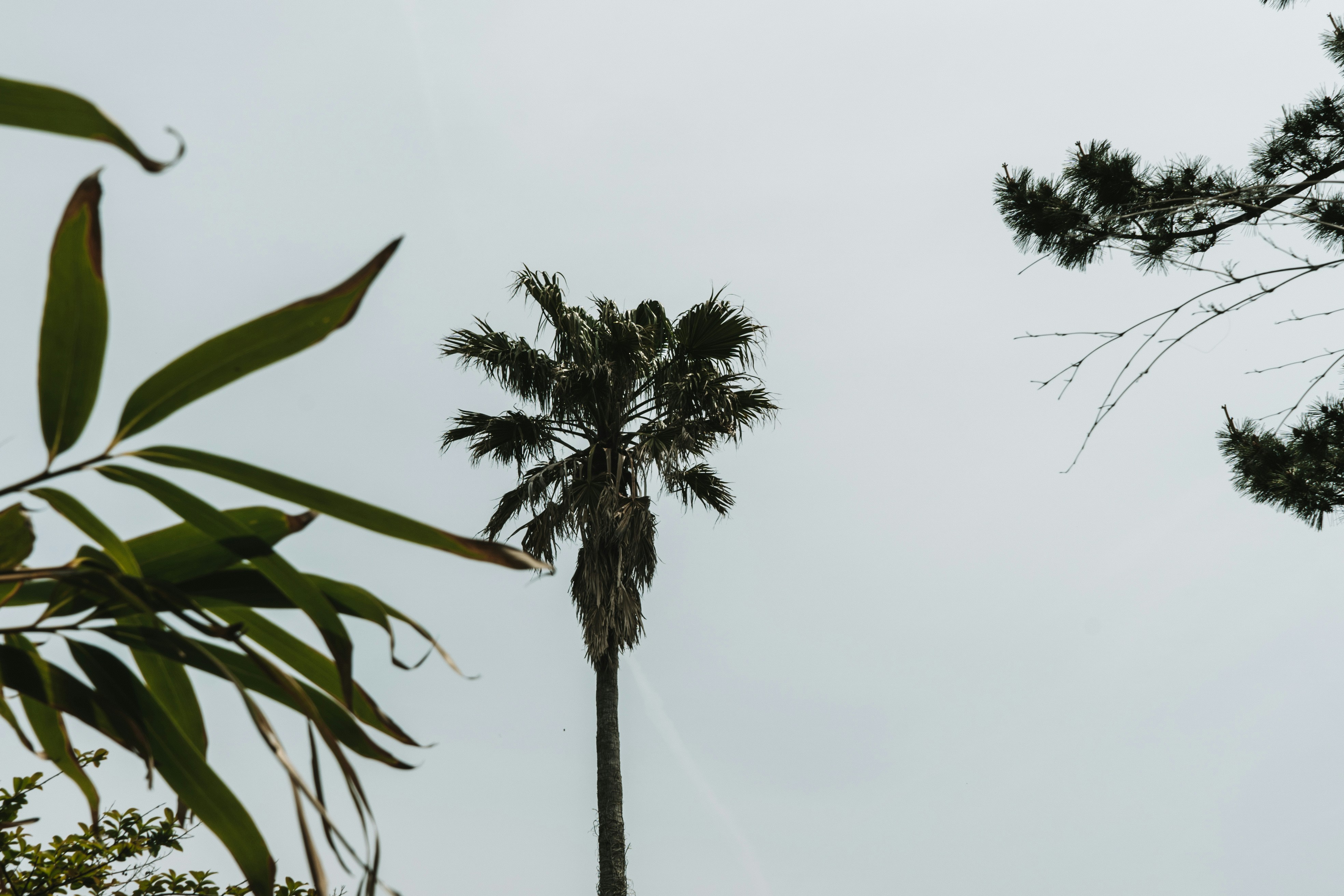 Photo by nicolasjleclercq